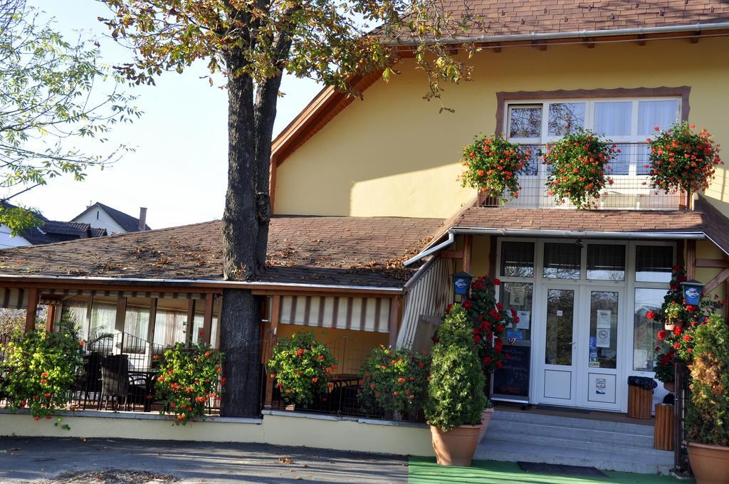Tengerszem Panzio Bed and Breakfast Bánk Buitenkant foto